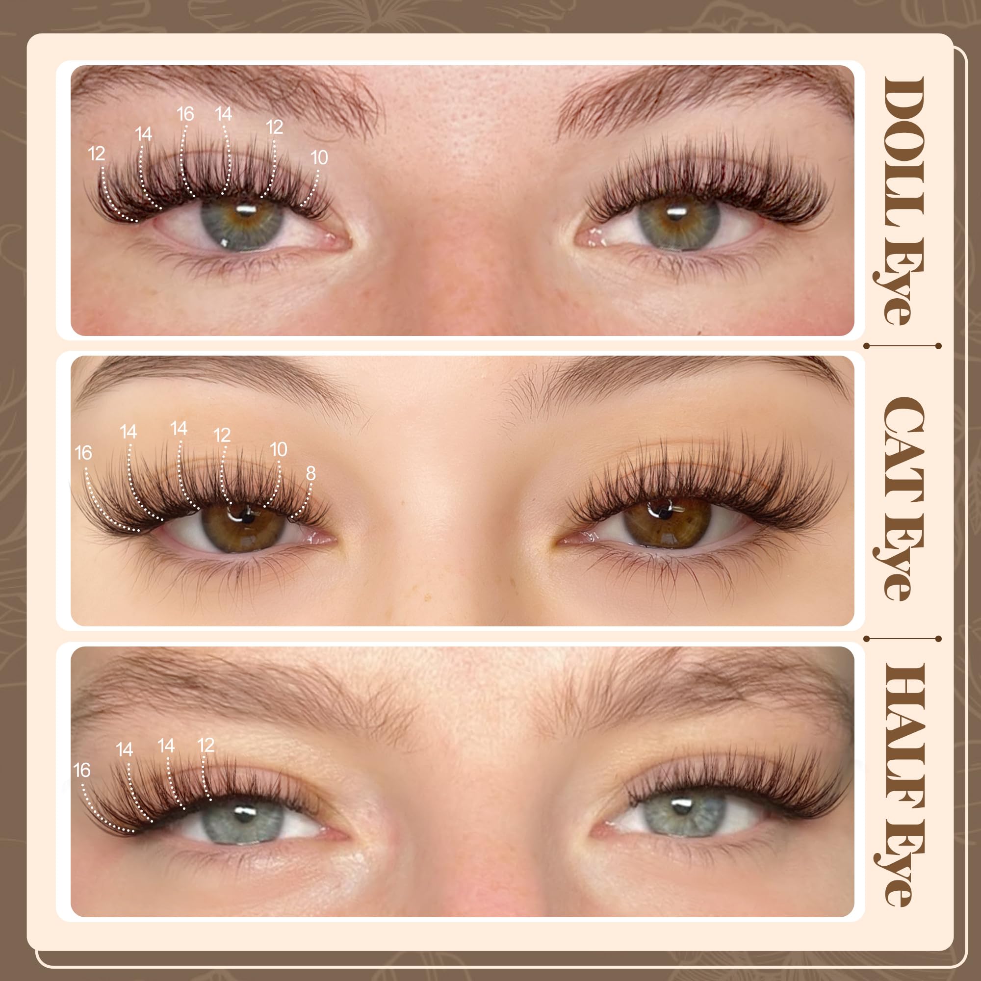 Lanflower brown lash clusters application step image showing comfortable lash line