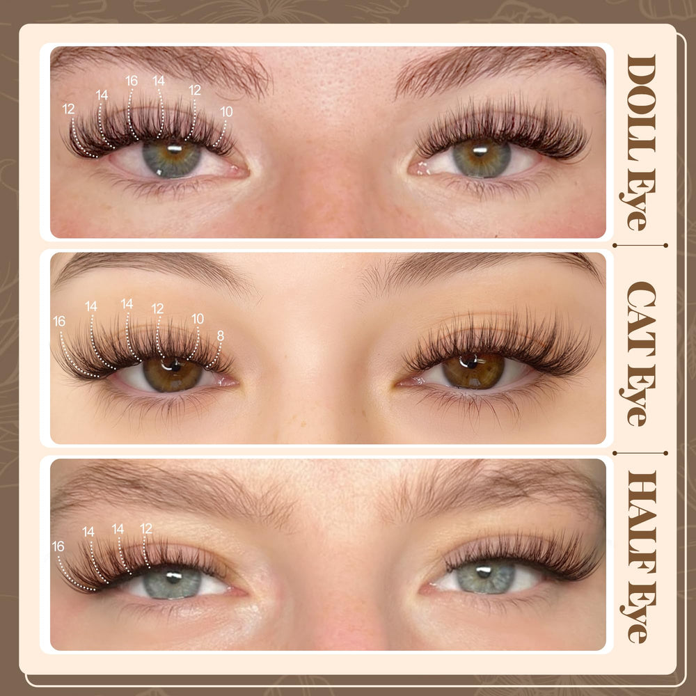 Lanflower brown lash clusters application step image showing comfortable lash line