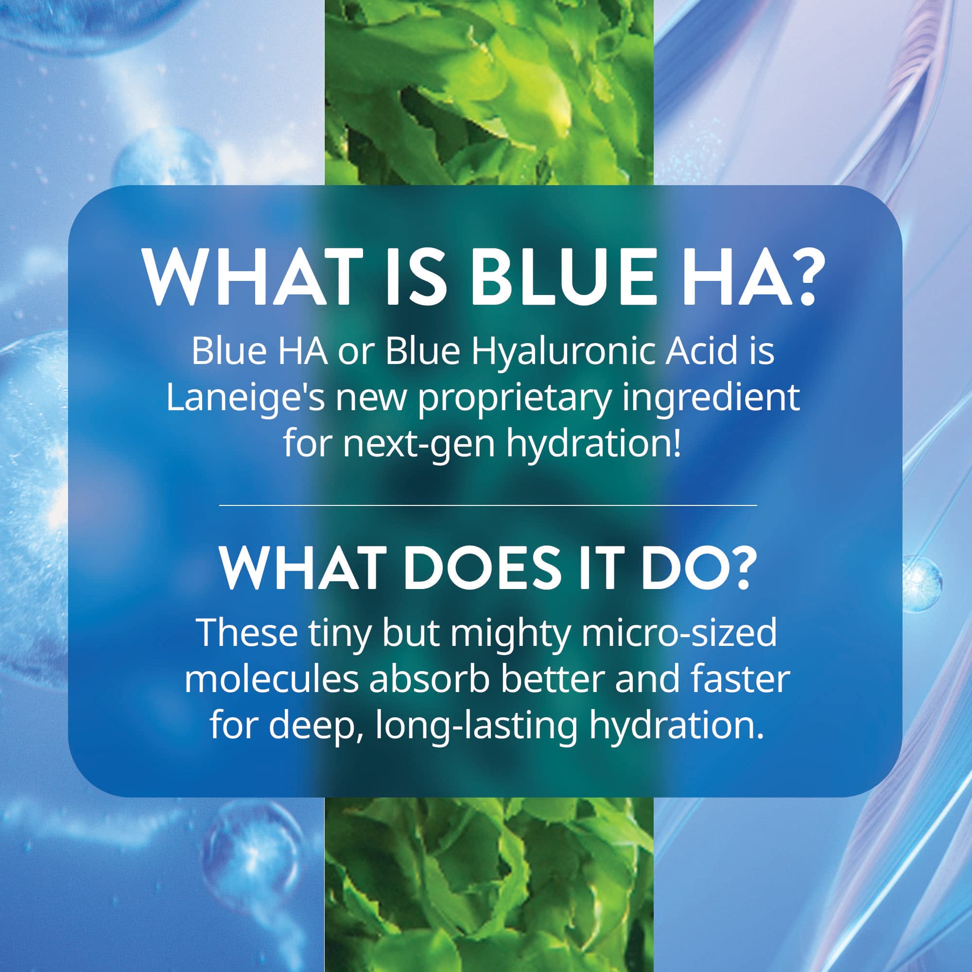 LANEIGE Water Bank packaging box highlights premium design and hygiene.