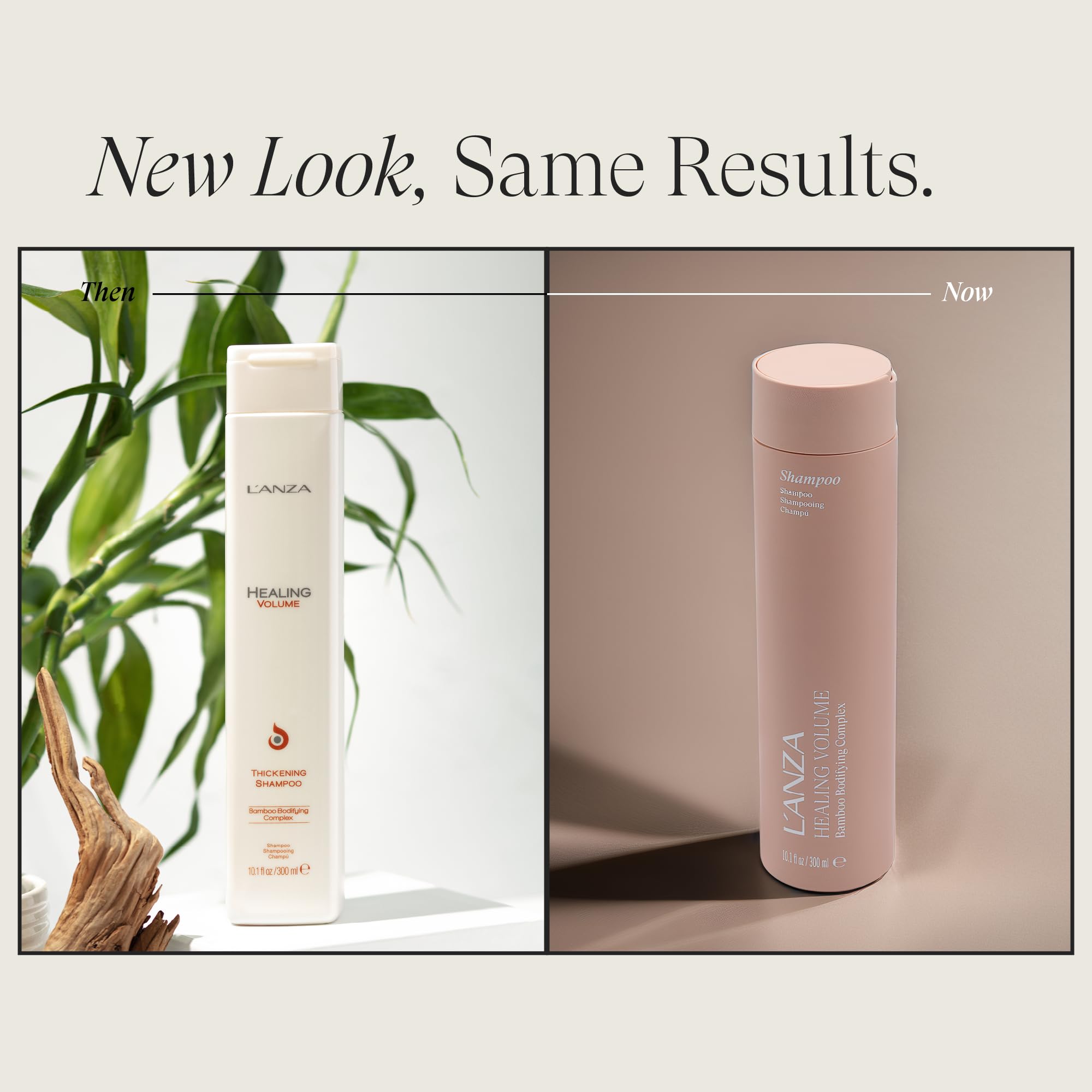 Close-up of bamboo extract on the L’ANZA Healing Volume Thickening Shampoo label signals strengthening power.