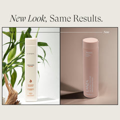 Close-up of bamboo extract on the L’ANZA Healing Volume Thickening Shampoo label signals strengthening power.