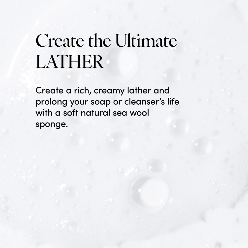 LATHER sea wool sponge eco-friendly material harvested in Florida for sustainable skincare.