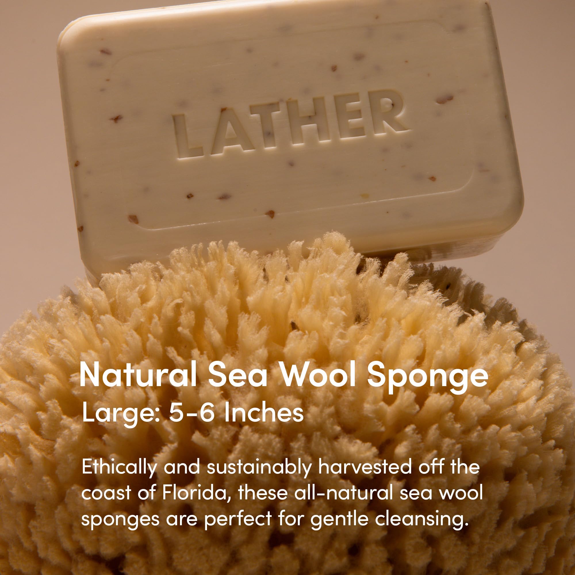 LATHER sea wool sponge soft-lather close-up, ideal for delicate cleansing.