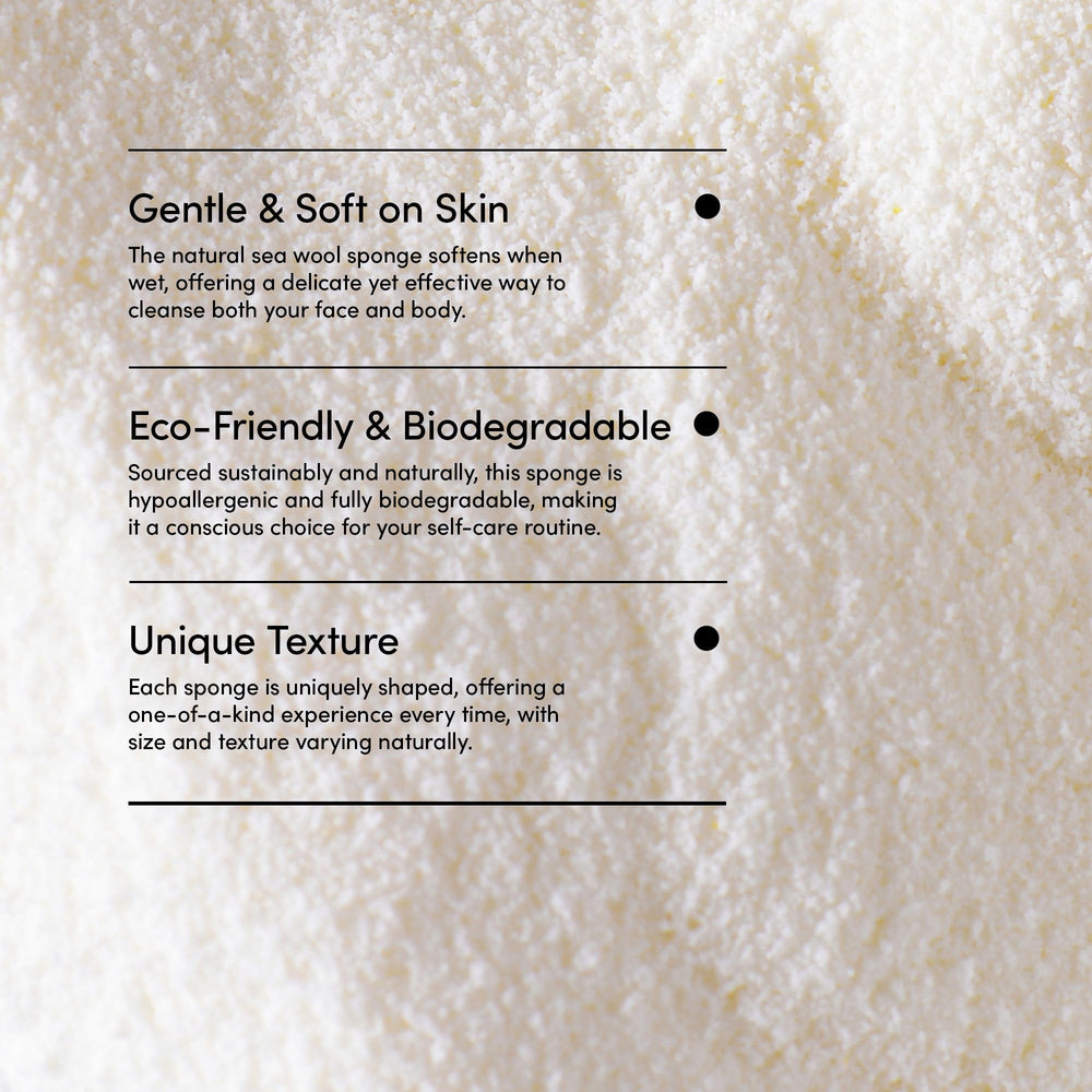 LATHER sea wool sponge wet to soft state ready to create a rich lather.