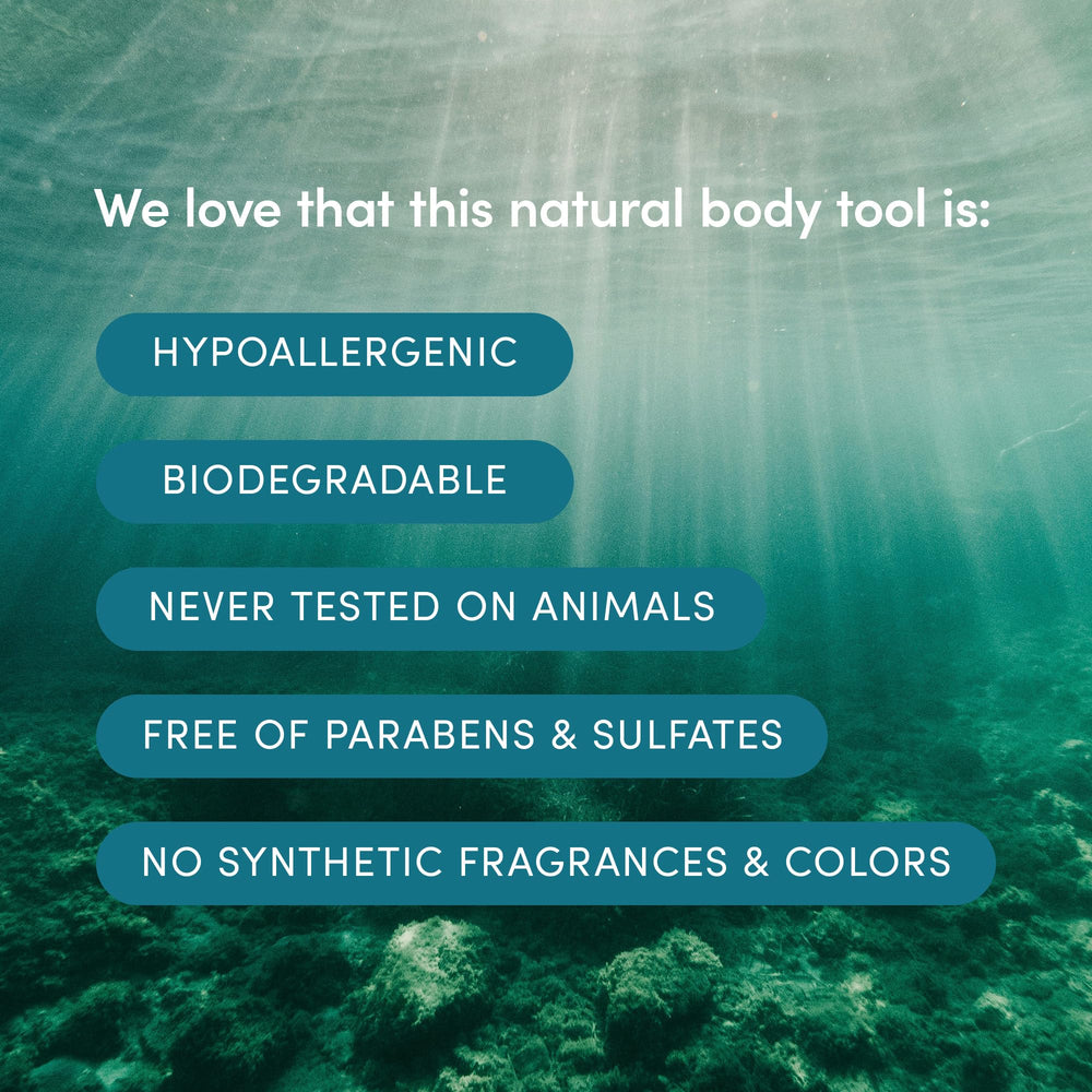 LATHER sea wool sponge paired with body wash for smooth cleansing.