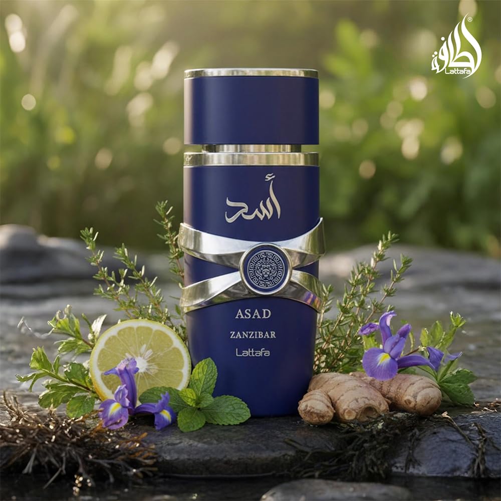 Lattafa Asad Zanzibar packaging box showing premium presentation