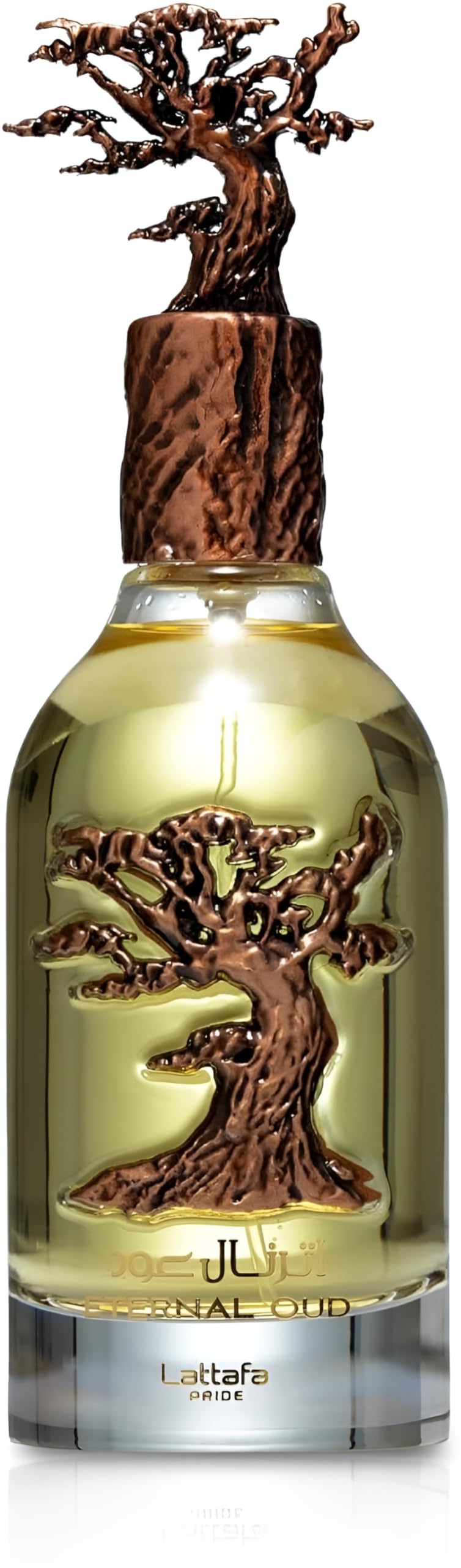 Lattafa Eternal Oud bottle viewed from the front, highlighting amber-oud allure for evening wear.