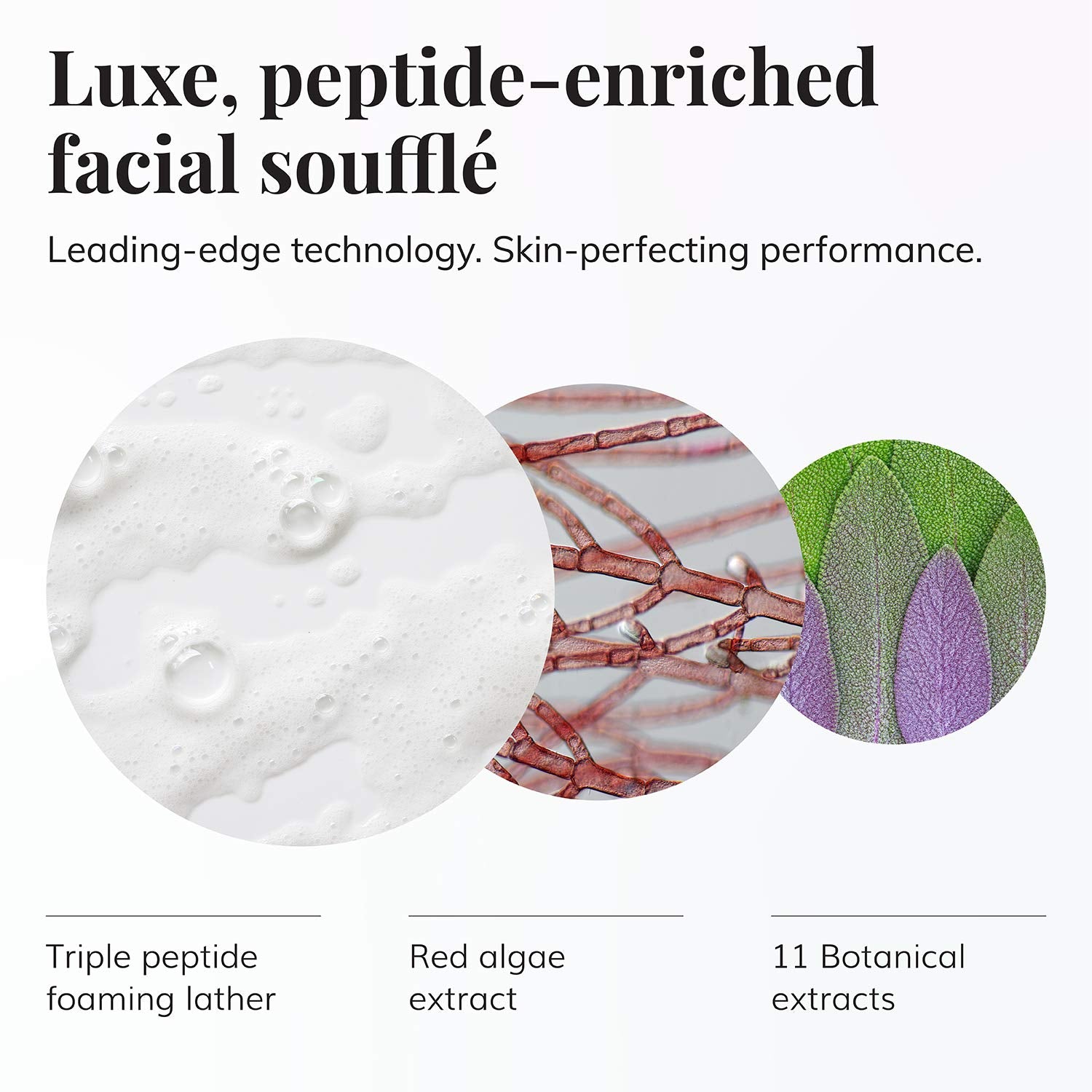 Le Mieux foam on hand showing creamy lather for gentle cleansing.