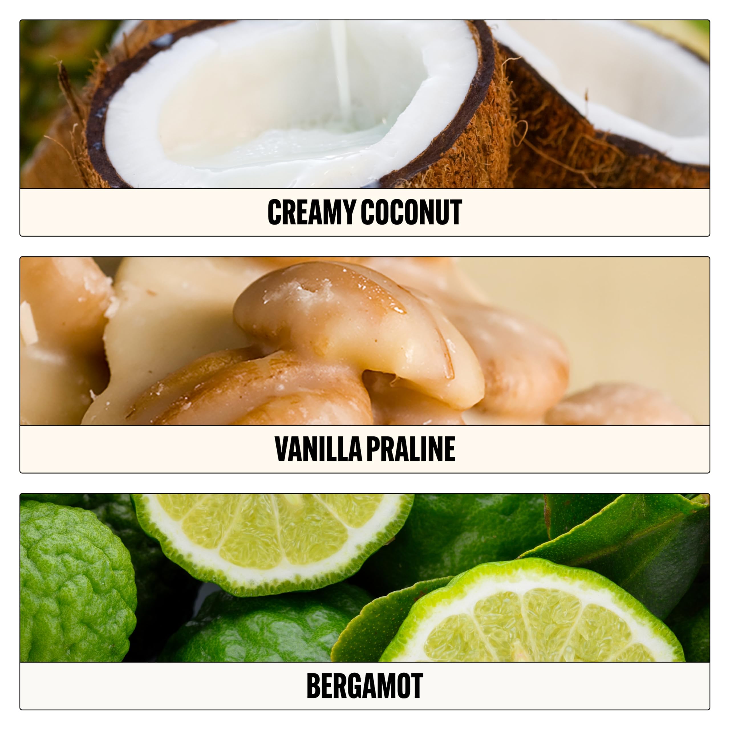 Le Monde Gourmand Lait de Coco bottle highlights bergamot notes for a bright opening.