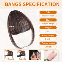 Leelebamo clip-in bangs with temples in dark brown for contouring.