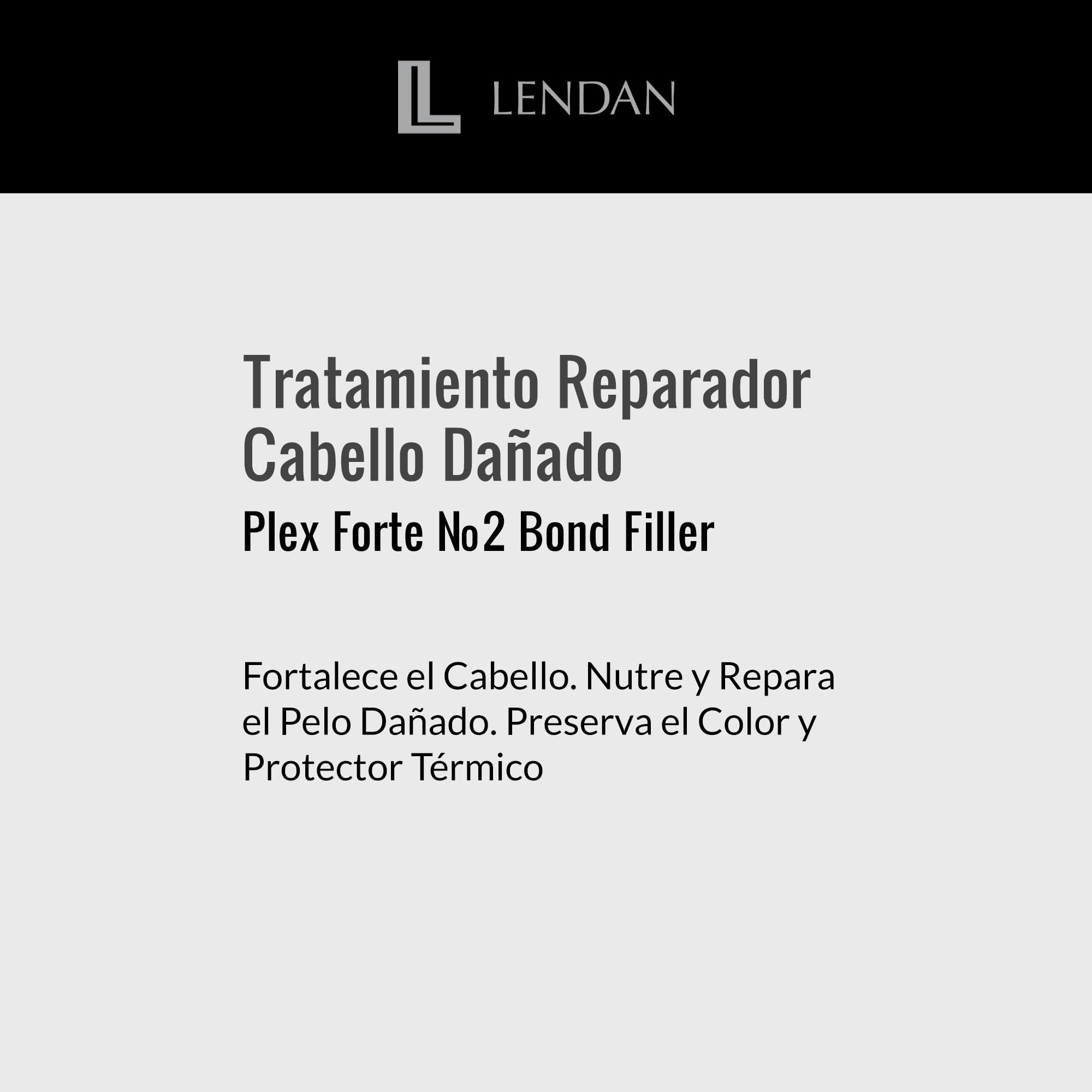 Lendan Plex Forte Nº2 Bond Filler: protección contra calor y sol
