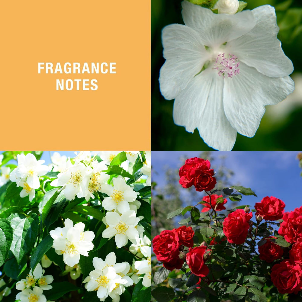 L'Erbolario Rose Perfumed Body Powder packaging shows eco-friendly, cruelty-free formulation.