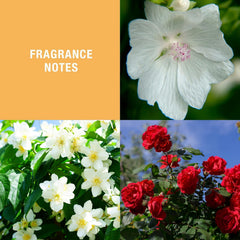 L'Erbolario Rose Perfumed Body Powder packaging shows eco-friendly, cruelty-free formulation.
