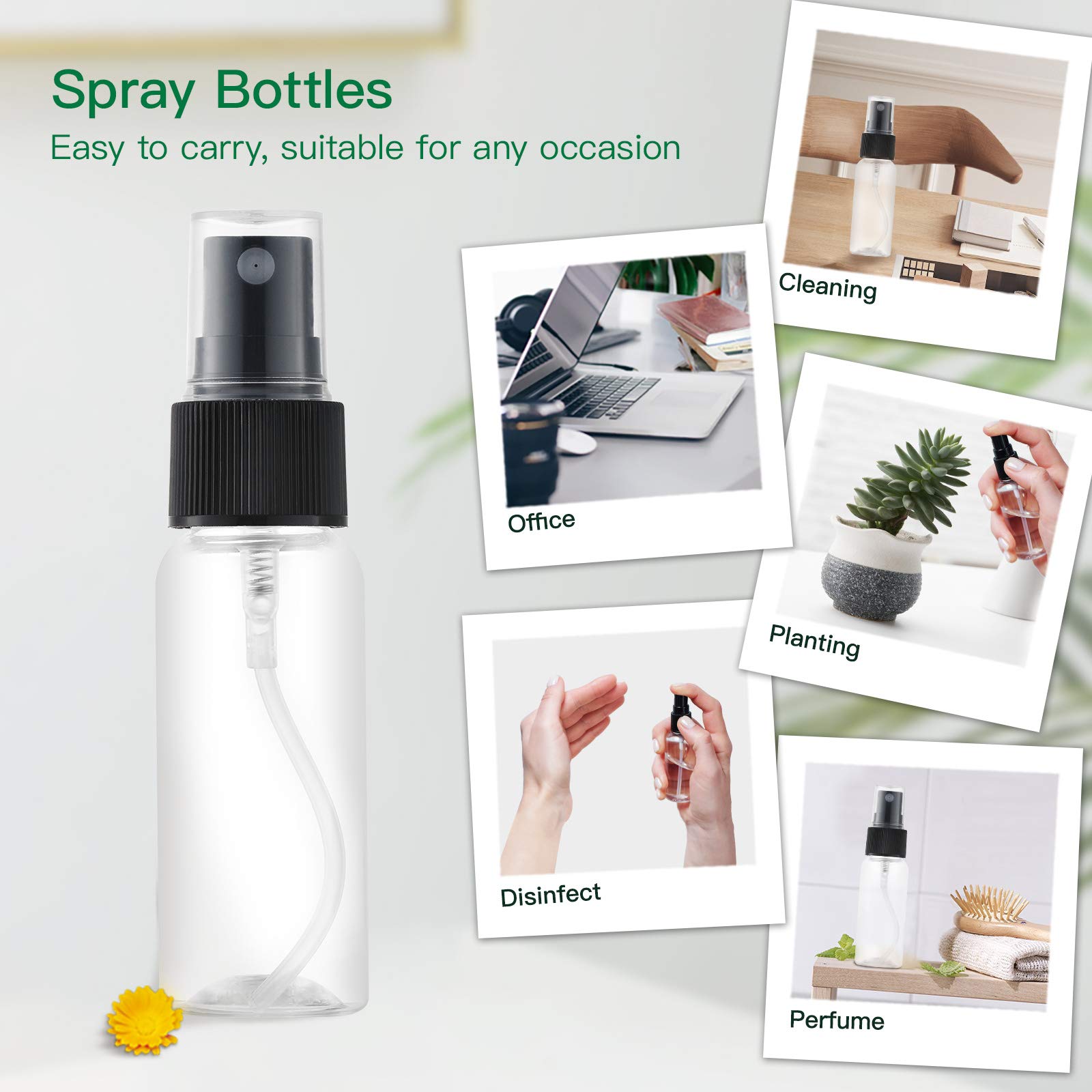 LISAPACK 12 pack bottles arranged for easy travel kit