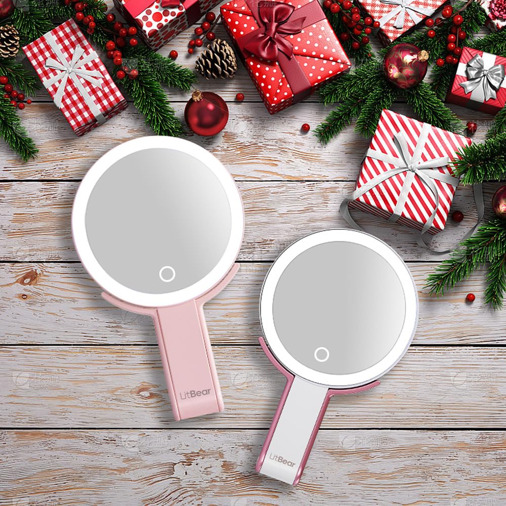 LitBear rechargeable battery lets you power the mirror during trips