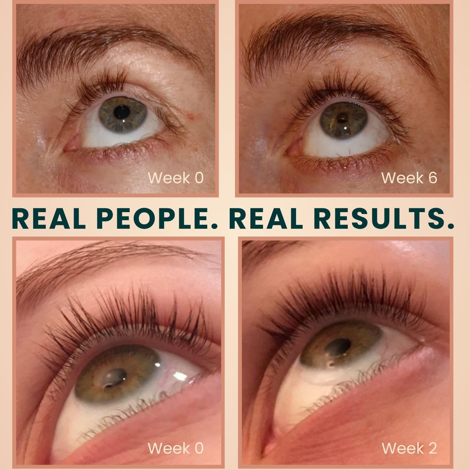 Live Fraiche aplicador integrado, aplicación precisa para pestanas y cejas.