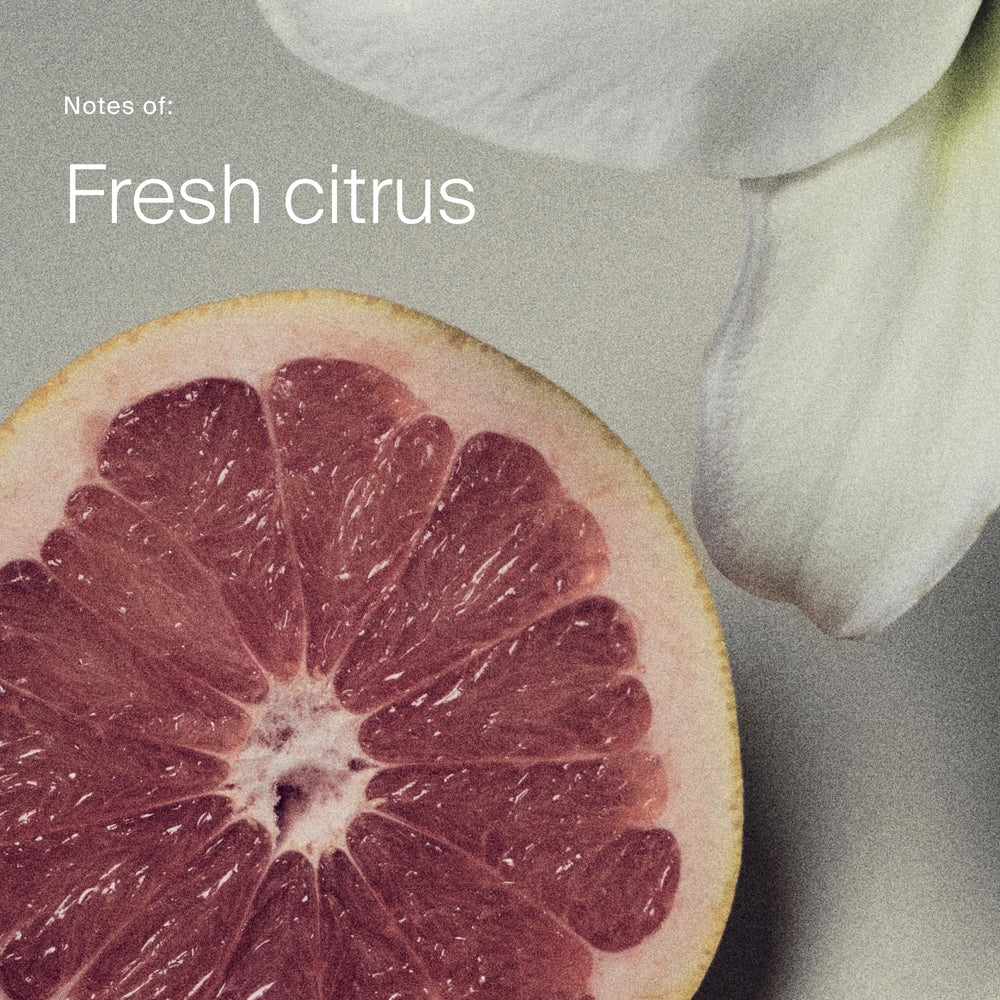 Living Proof Dry Shampoo time-release scent hints all-day freshness.