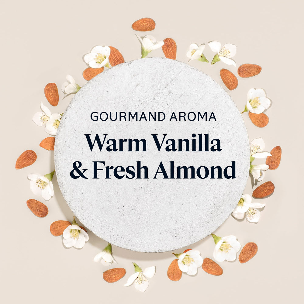L'Occitane Almond Delicious Shower fresh almond vanilla scent enhances daily showers.