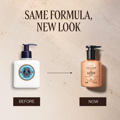 L'Occitane lotion texture close-up highlights lightweight absorption on skin.