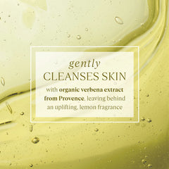 Foam closeup of L'Occitane Verbena Shower Gel with sparkling lemon notes.