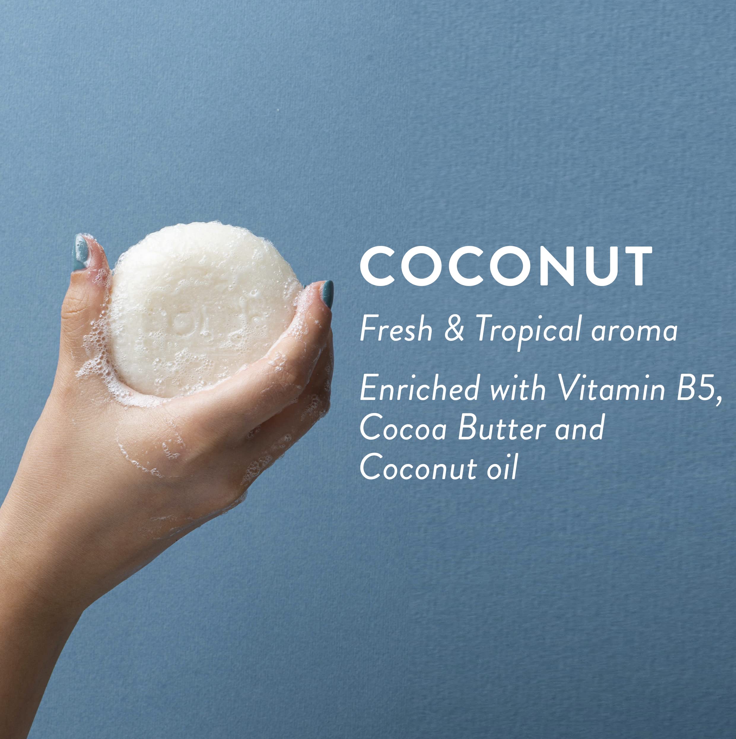 LOLE'S 2-in-1 shampoo bar and conditioner with coconut oil cleanses and conditions.