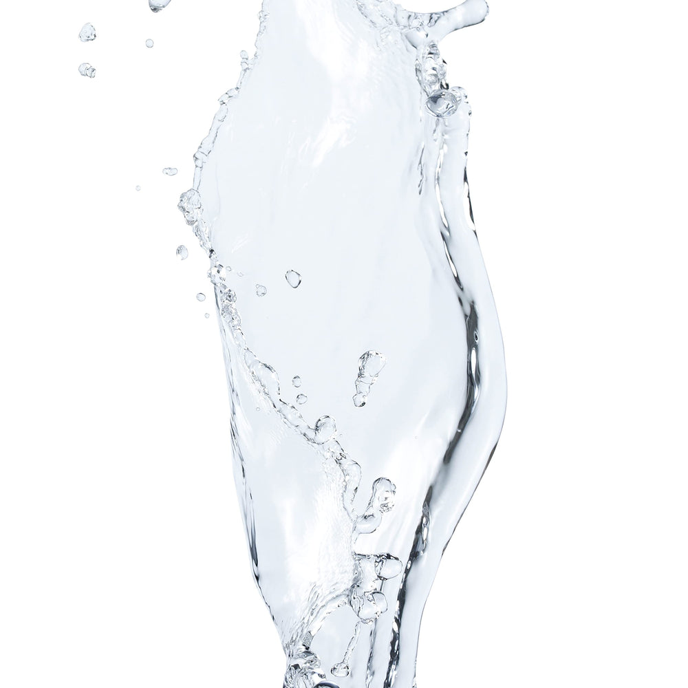L’Oréal Paris Elvive Dream Lengths Curls Moisture-Seal Conditioner bottle delivering deep hydration.