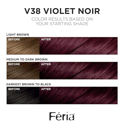L'Oreal Paris Feria V38 Violet Noir color swatches display shimmering depth.
