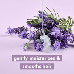 Love Beauty and Planet champú argán lavanda, ingredientes naturales para el cabello.