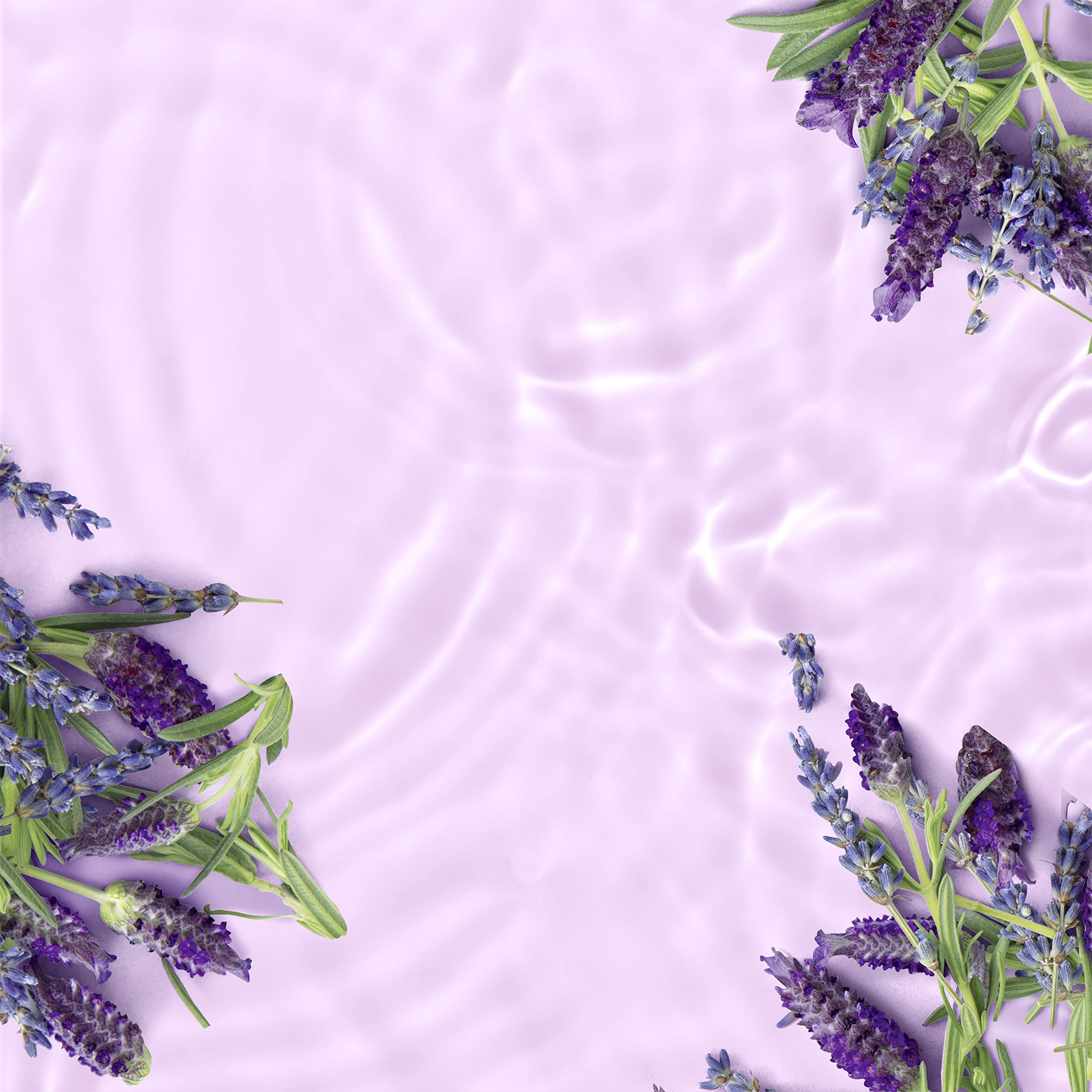 Love Beauty and Planet champú argán lavanda, aroma relajante para la ducha.