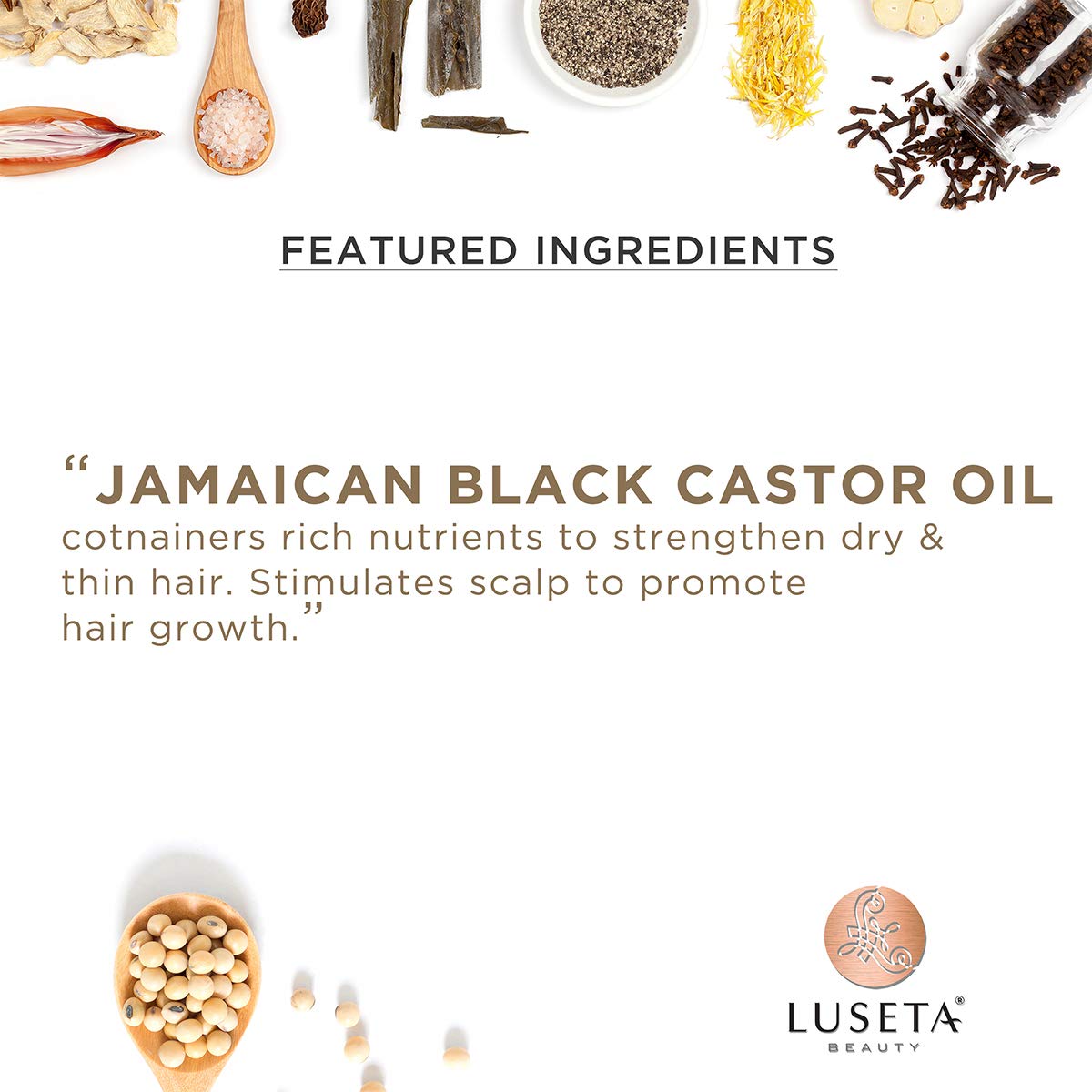 Luseta Castor Oil Duo in routine setup for healthy, nourished hair.