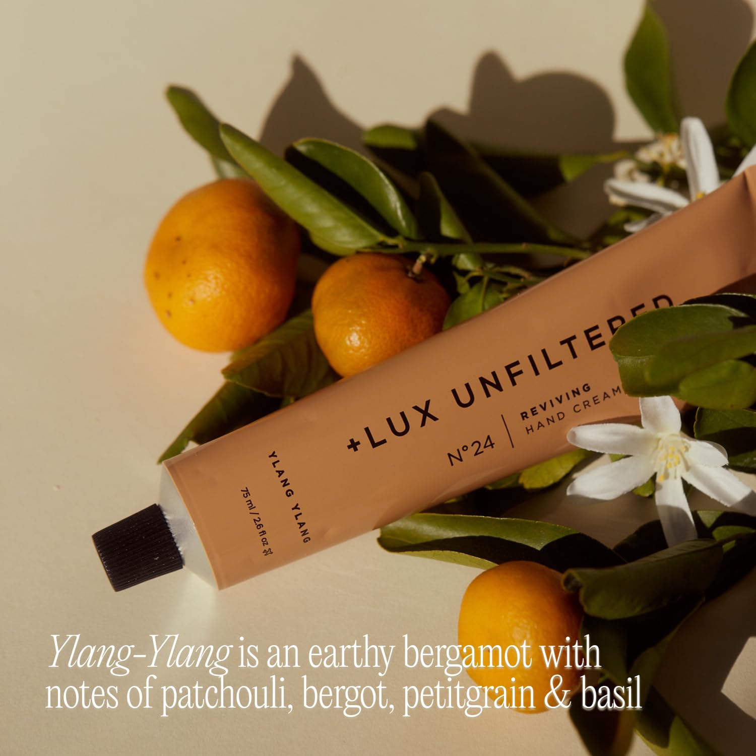 Highlight of Cocoa Seed Butter, Shea Butter, Argan Oil on Lux Unfiltered N°24