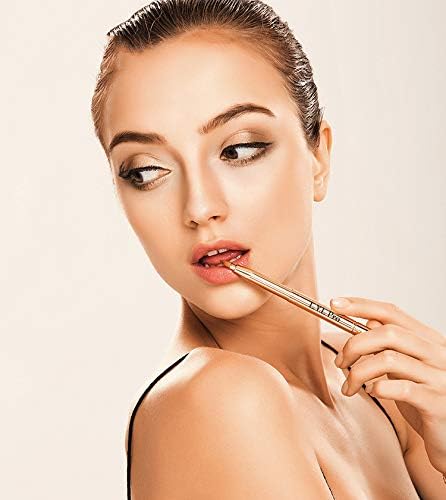 L.Y.L Pro Gold travel-friendly retractable brush for lipstick and gloss use