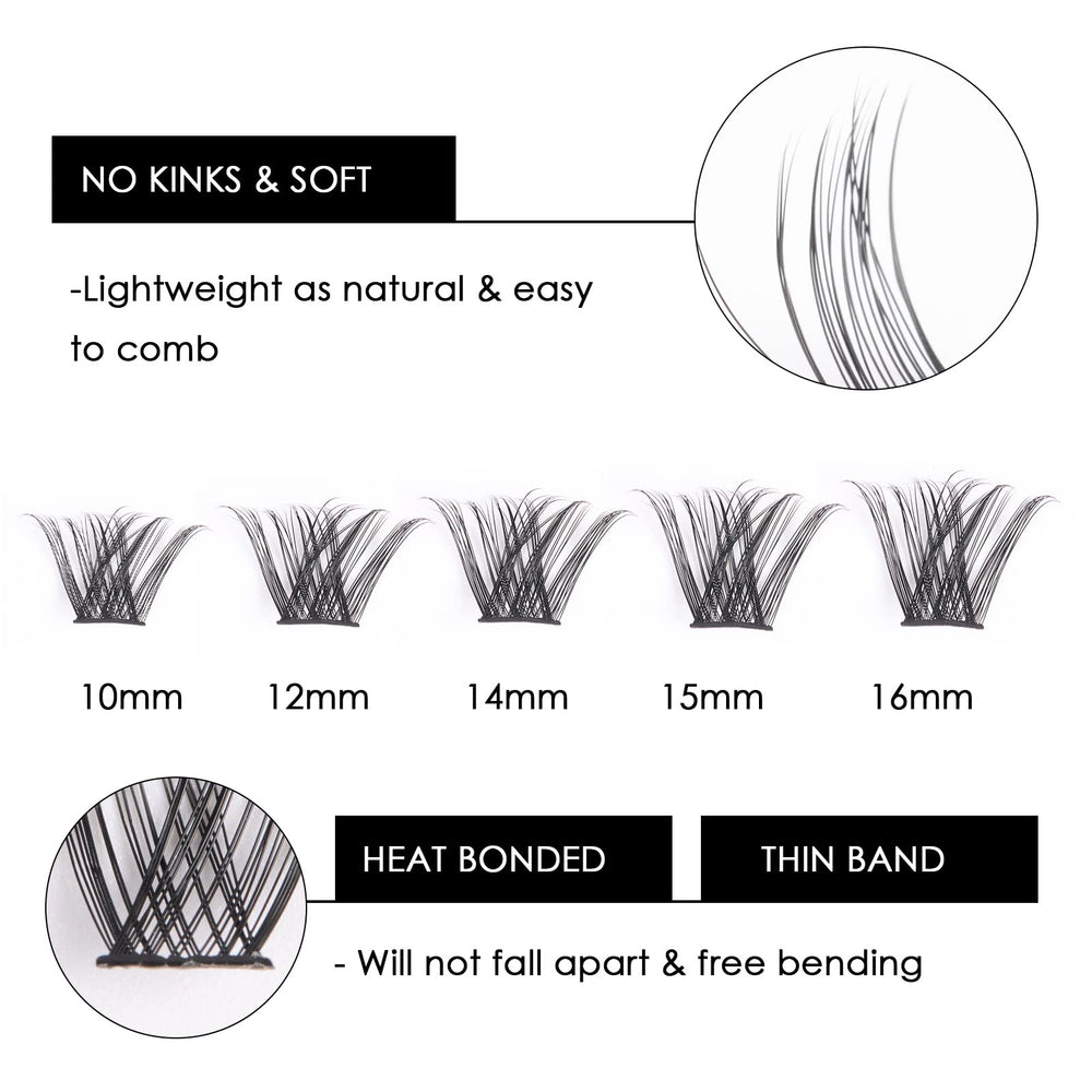 Magnetic SL lashes feature C and D curl options for natural lift