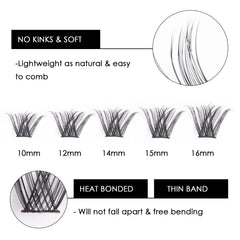Magnetic SL lashes feature C and D curl options for natural lift
