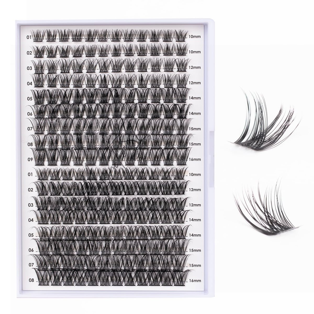 Magnetic SL lash clusters tray with 204 pieces for at-home customization.
