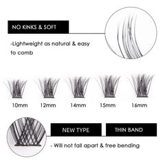 Magnetic SL lashes C-D curves offer a natural-looking lift.
