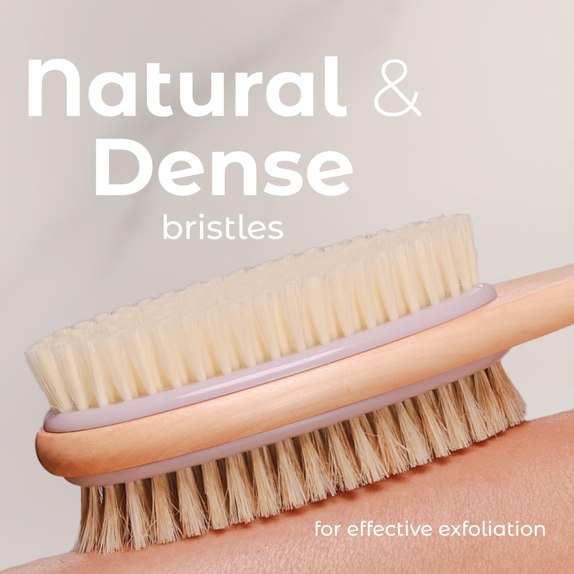 Cerdas de nailon suaves de MainBasics para limpieza delicada.