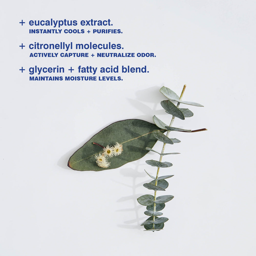Close up on MALIN+GOETZ eucalyptus extract emphasizes natural scent.