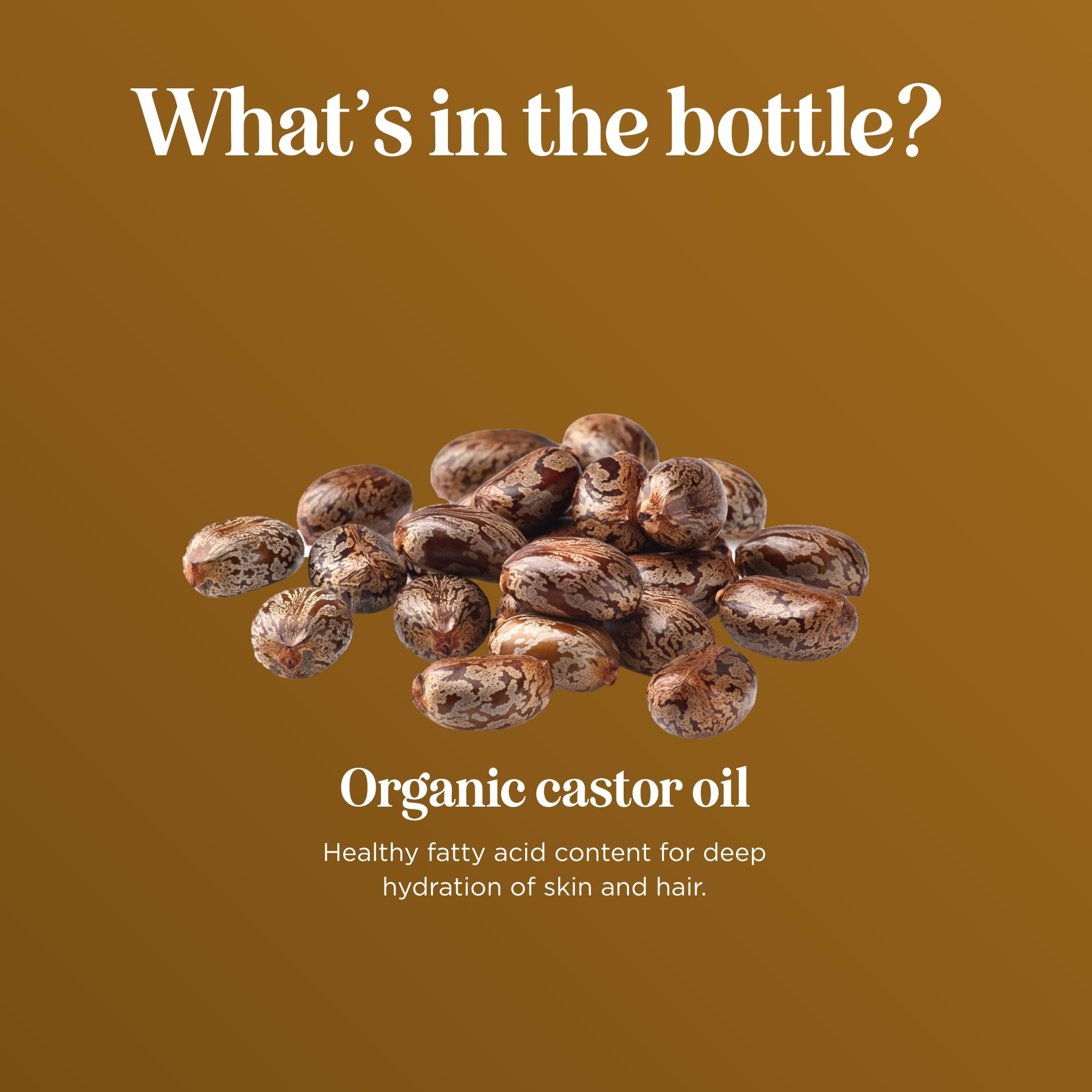 Maple Holistics Aceite de ricino en botella de vidrio para cejas y pestañas, nutre y suaviza.