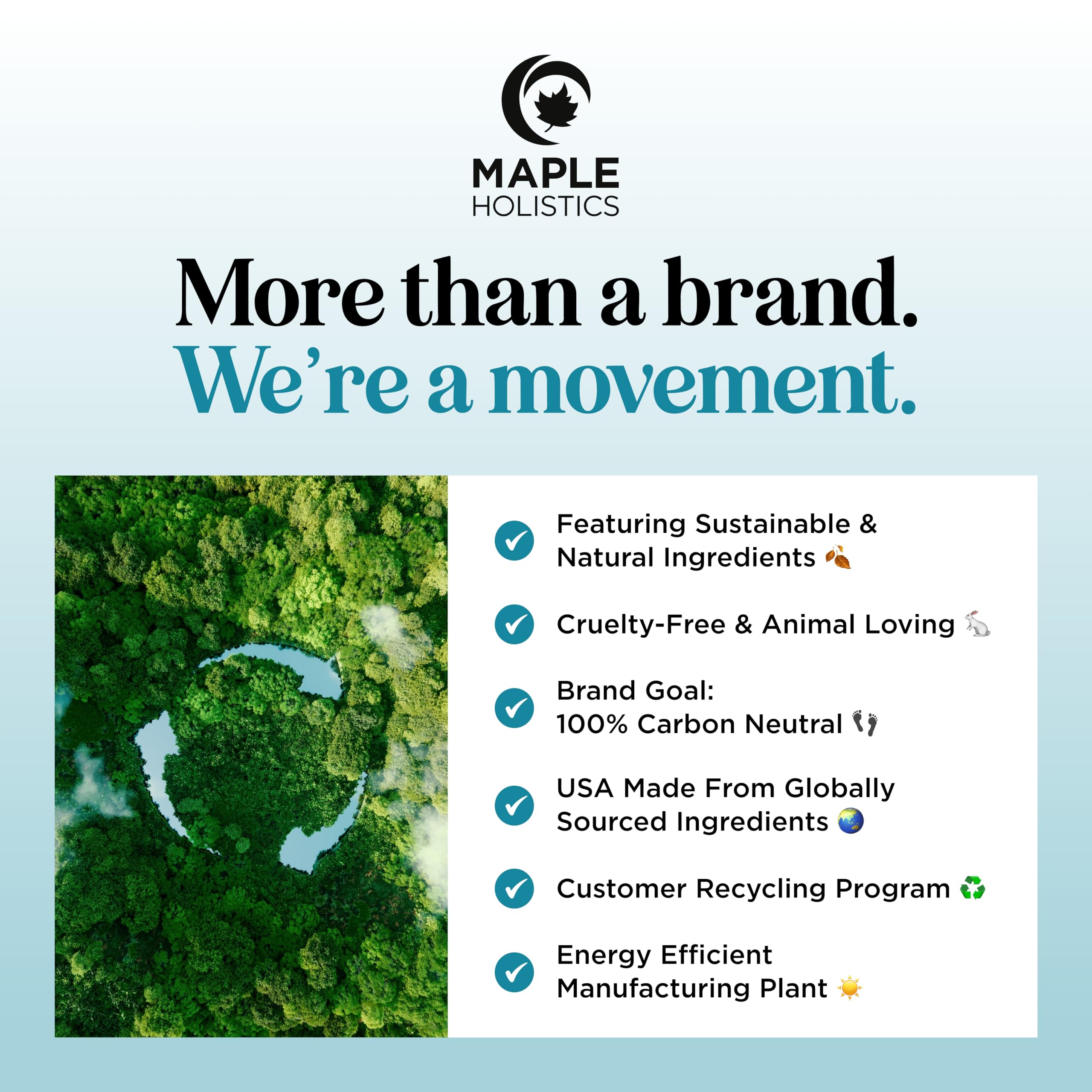 Maple Holistics Biotin Shampoo fine-hair closeup emphasizes volumizing effect