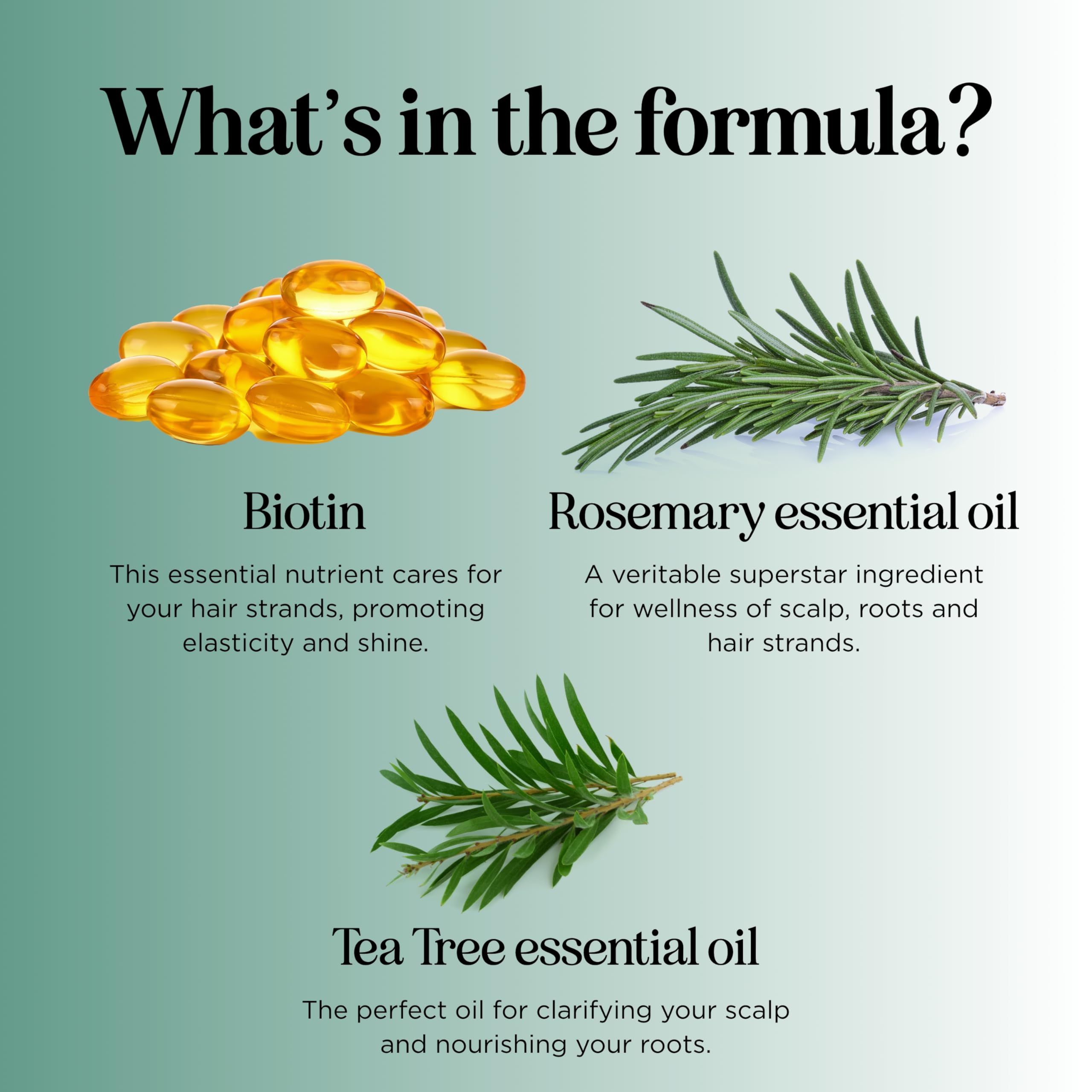 Maple Holistics natural ingredients bottles showcasing clean, vegan hair care approach