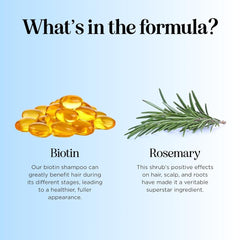 Maple Holistics Rosemary and Biotin Shampoo foam close-up demonstrates gentle cleansing without sulfates.