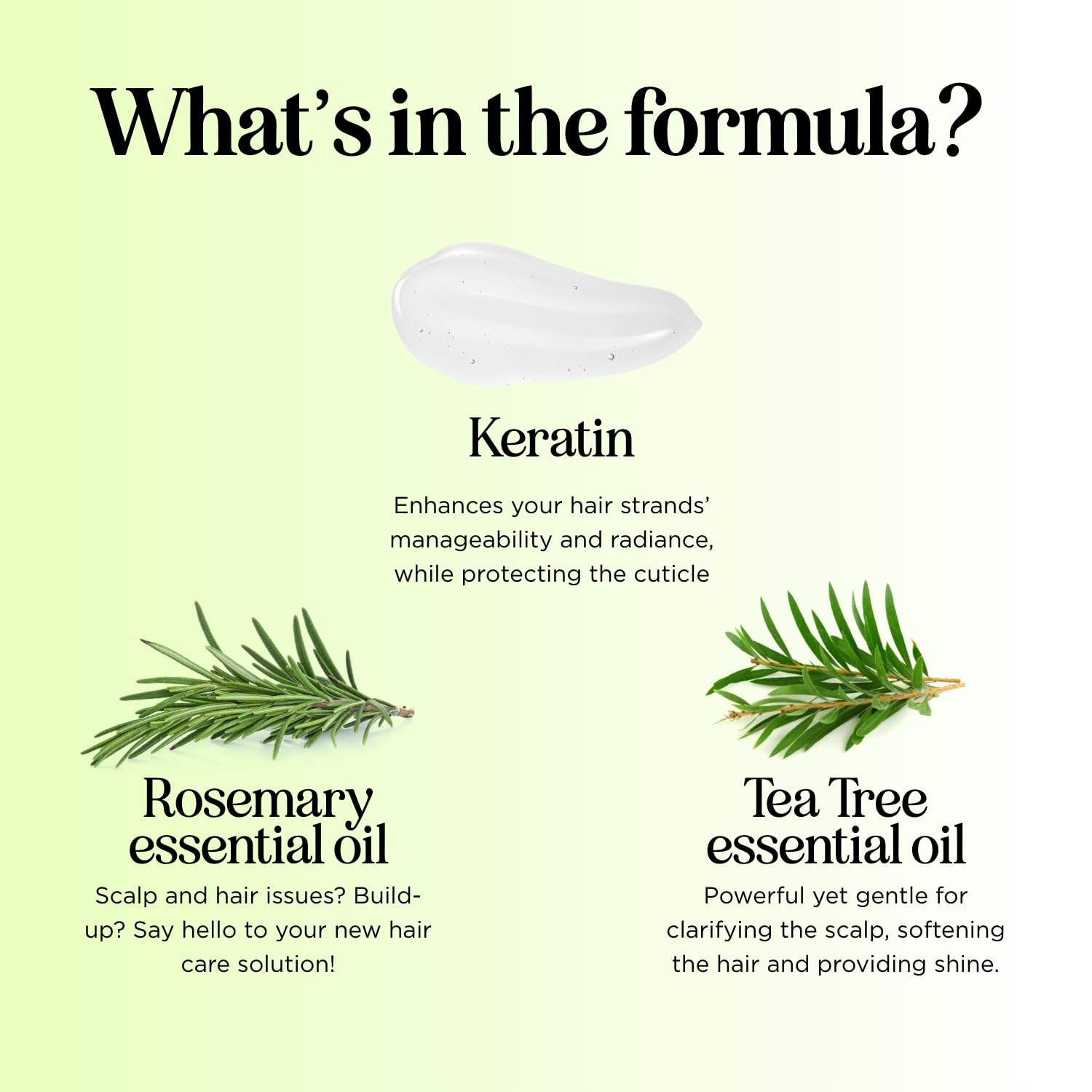 Maple Holistics rutina cabello árbol de té, limpio y nutrido