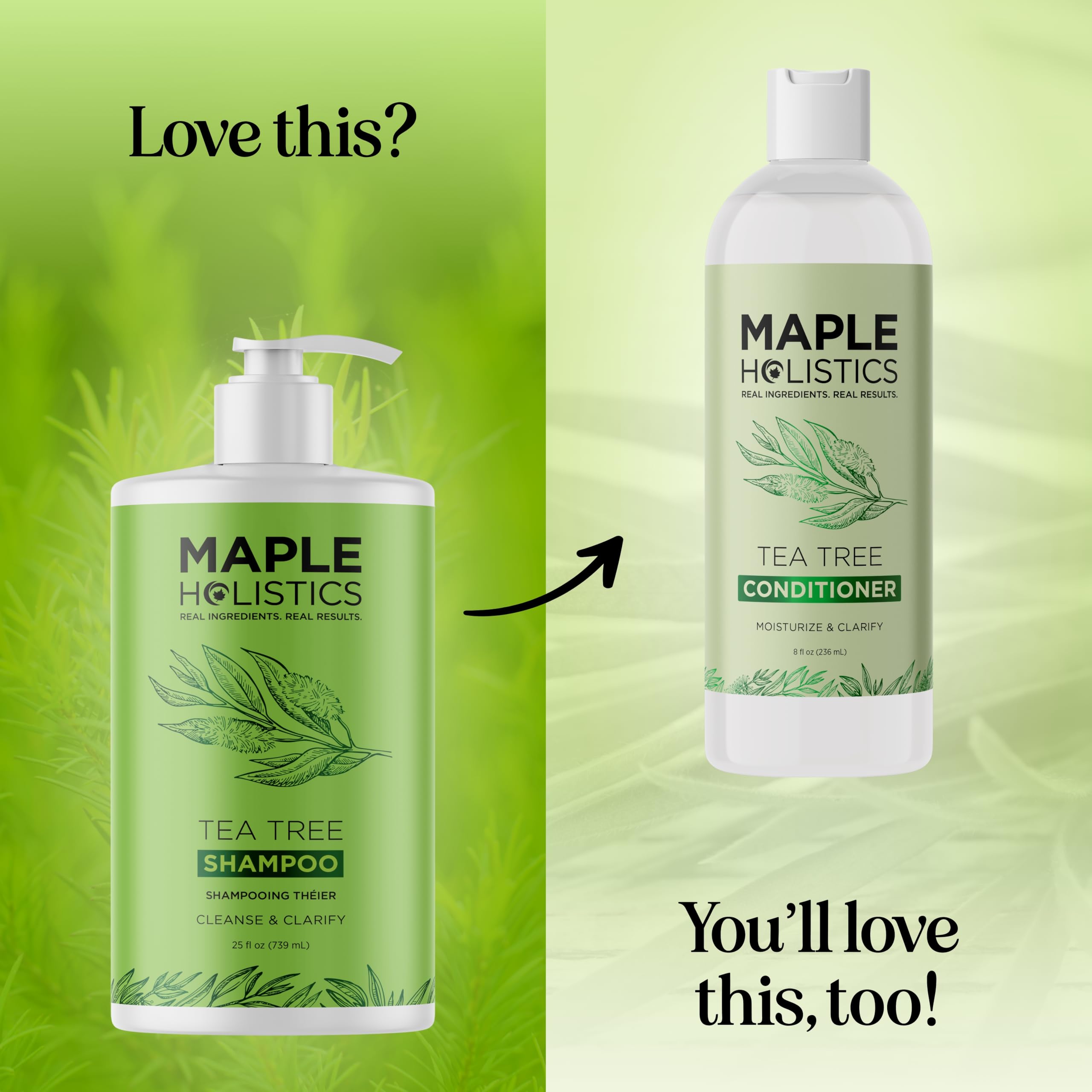 Maple Holistics Tea Tree Oil Shampoo dry scalp care focus in action