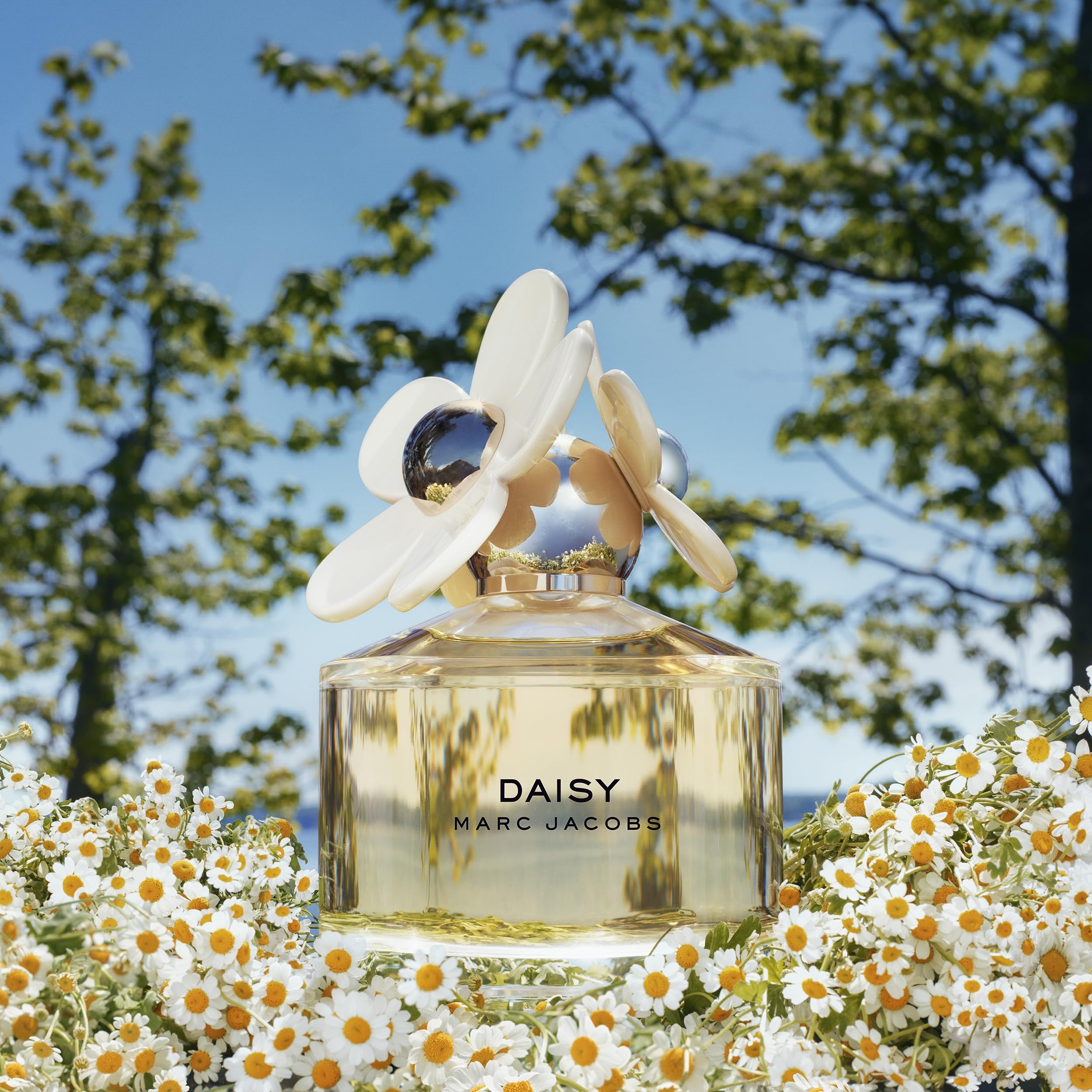 Marc Jacobs Daisy EDT packaging variation hints at collectible presentation