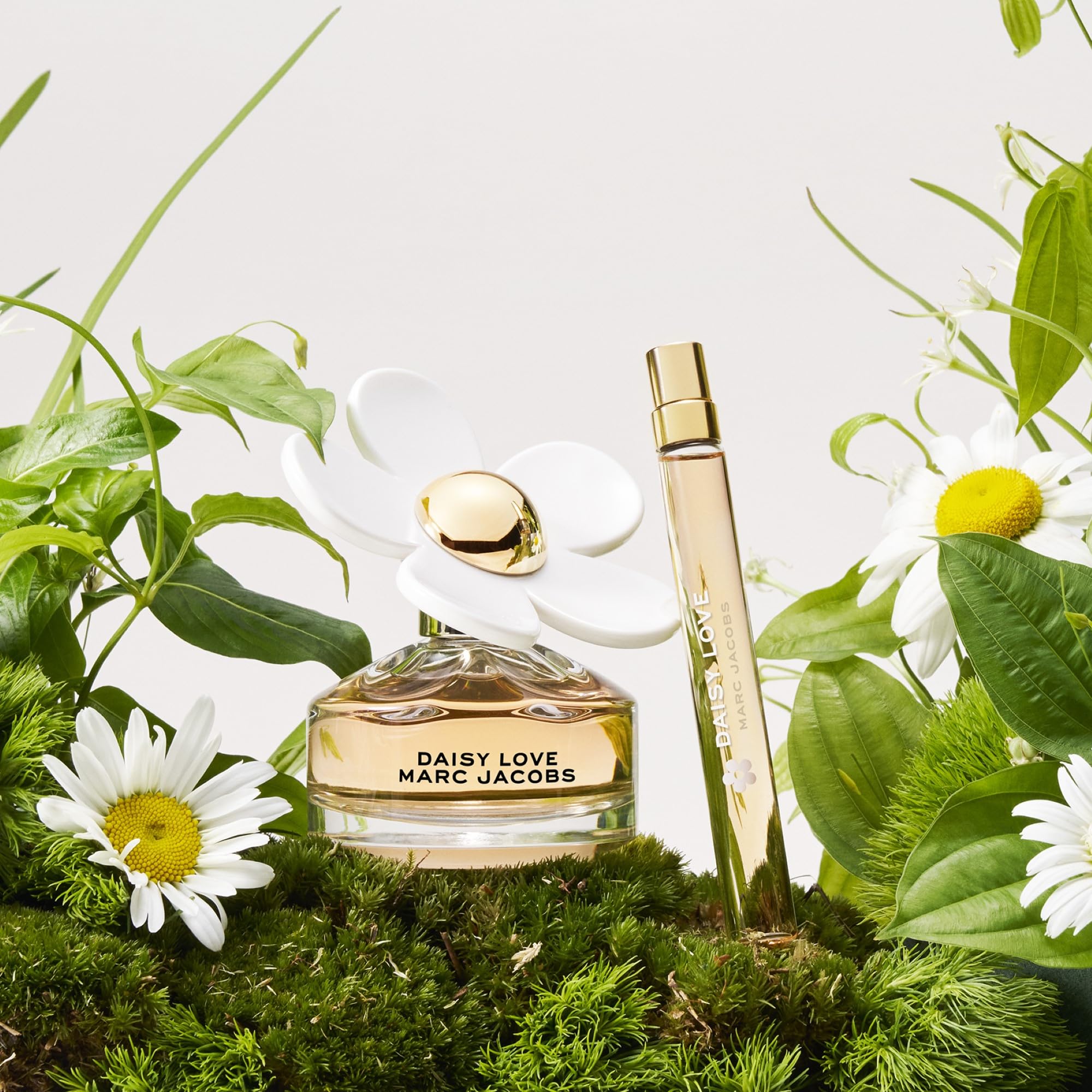 Marc Jacobs Daisy Love top note cloudberries for a bright opening