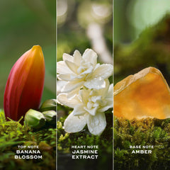 Marc Jacobs Daisy Wild Intense perfume bottle in soft lighting, suggesting a nature-inspired mood