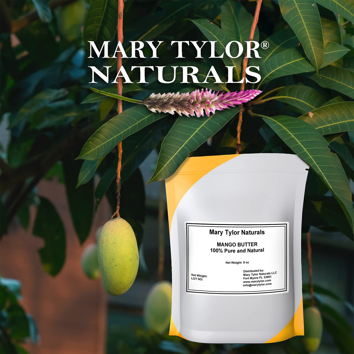 Mary Tylor Naturals Mango Butter, aplicación en cabello para hidratación y brillo suave.