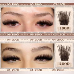 Mavphnee 200D brown lash clusters for dramatic flair and bold volume.