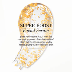 Melon stem cell extract visual from Meaningful Beauty formulation highlighting antioxidants.